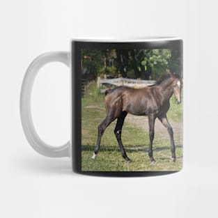 TB COLT Mug